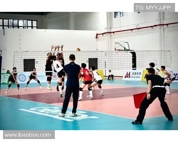 上海排球队团队协作新模式引发热议助力竞技水平提升