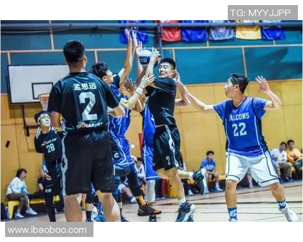 广州篮球队运营策略深度分析与成功经验分享