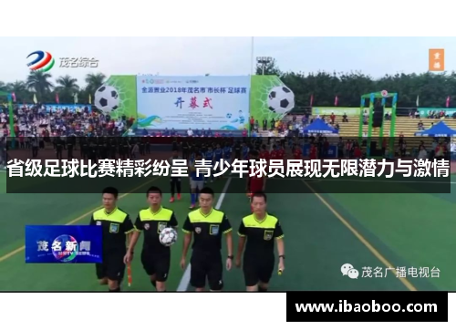 省级足球比赛精彩纷呈 青少年球员展现无限潜力与激情