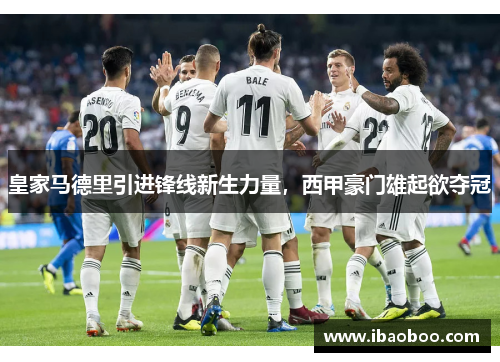 皇家马德里引进锋线新生力量，西甲豪门雄起欲夺冠